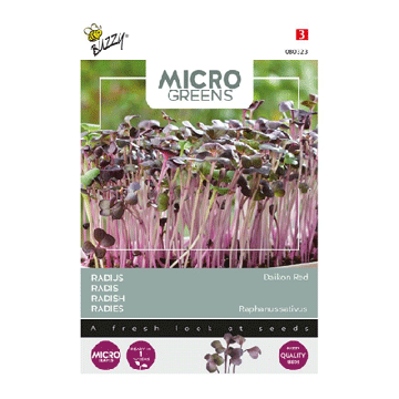 Buzzy Microgreens radijs rode daikon