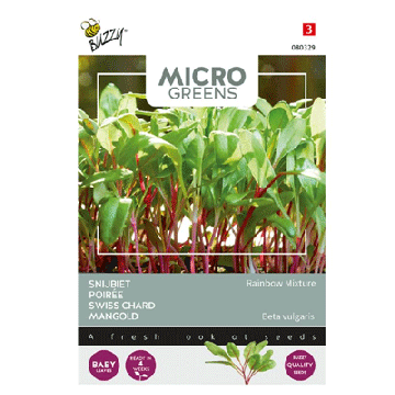 Buzzy microgreens Snijbiet regenboogkleuren