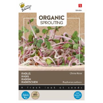 Buzzy® Organic Sprouting Radijs China Rose (BIO)