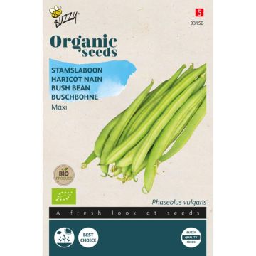 Buzzy® Organic Stamslabonen Maxi (BIO)