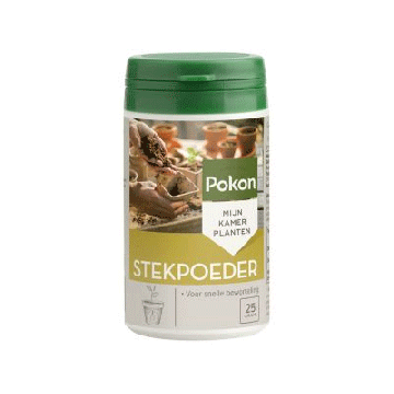 Pokon stekpoeder 25 gram