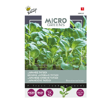 Buzzy microgreens japanse tatsoi