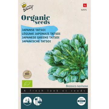 Buzzy® Organic Tatsoi (BIO)