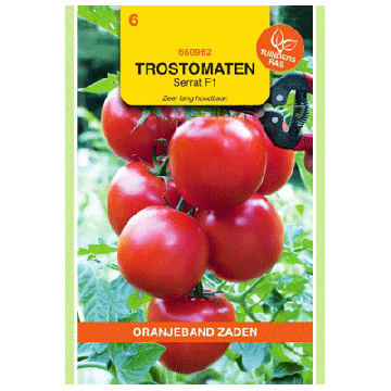Oranjeband zaden Tomaten Serrat F1