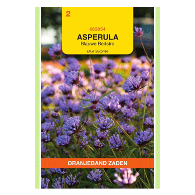 Oranjeband zaden Asperula, Blauwe Bedstro Blue Surprise