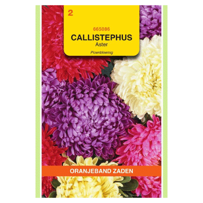 Oranjeband zaden Callistephus, Aster Pioenbloemig gemengd