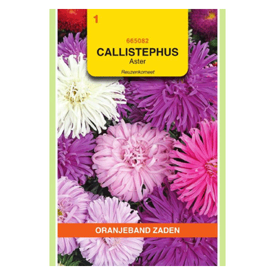 Oranjeband zaden Callistephus, Aster Reuzenkomeet gemengd