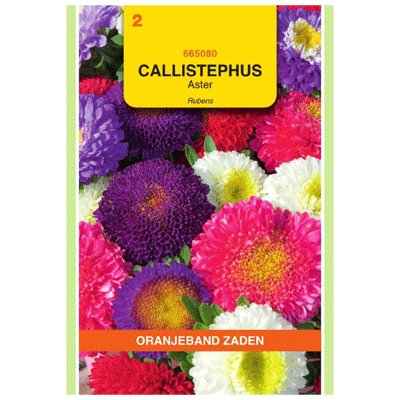 Oranjeband zaden Callistephus, Aster Rubens gemengd