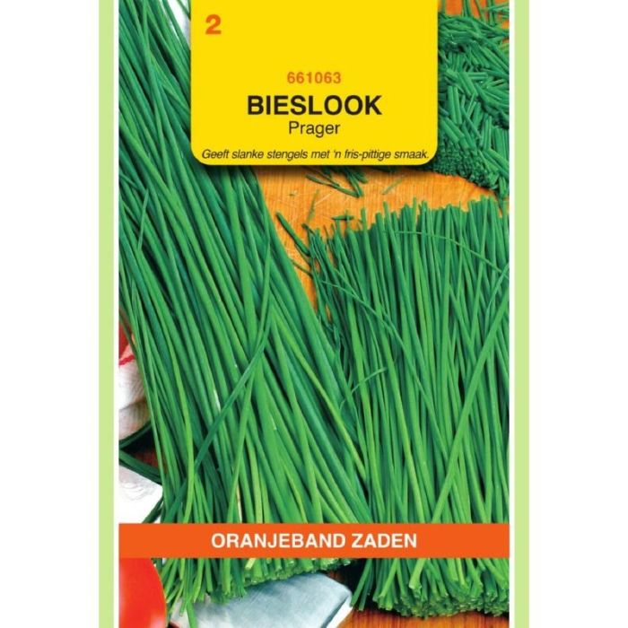 Oranjeband Bieslook Prager (fijne)