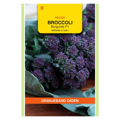 Oranjeband zaden Sprouting Broccoli Burgundy F1