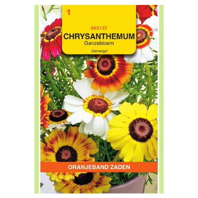 Oranjeband zaden Chrysanthemum, Ganzenbloem gemengd