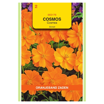 Oranjeband zaden Cosmos, Cosmea Sunset