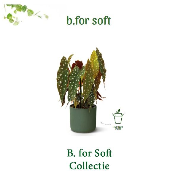 Elho B. for Soft Rond 
