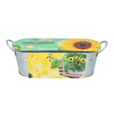 Buzzy® Zonnebloemen Kweekset in Zinken Teiltje - Happy Sunflower