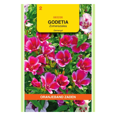 Oranjeband zaden Godetia, zomerazalea gemengd