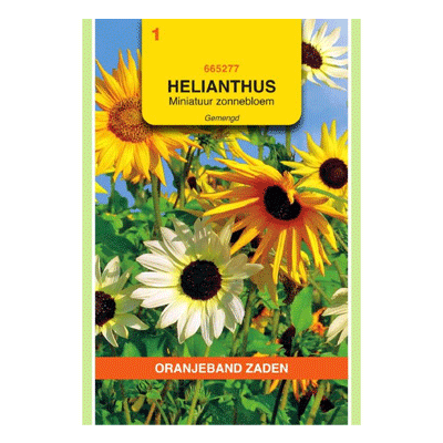 Oranjeband zaden Helianthus, miniatuur Zonnebloem gemengd