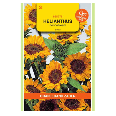 Oranjeband zaden Helianthus, Zonnebloem Sonja