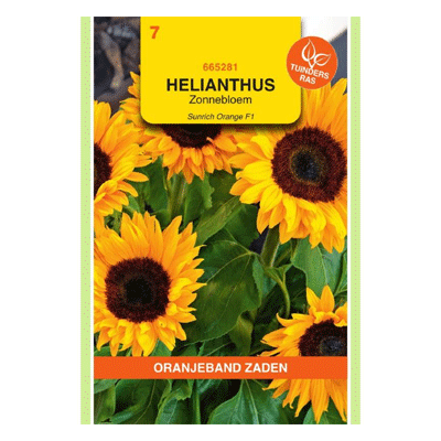 Oranjeband zaden Helianthus, Zonnebloem Sunrich Orange F1