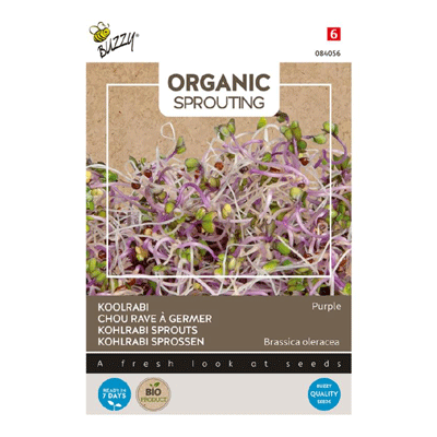Buzzy® Organic Sprouting koolrabi purple