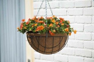 Hanging basket set incl. smeedijzer muurhaak