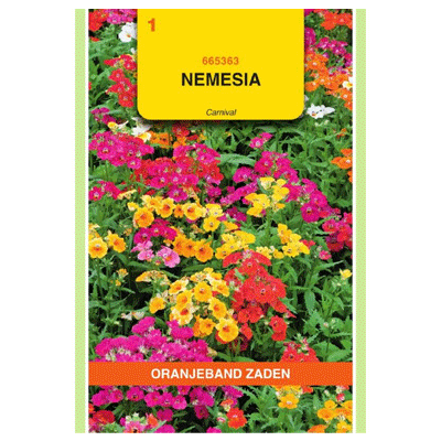 Oranjeband zaden Nemesia Carnival gemengd