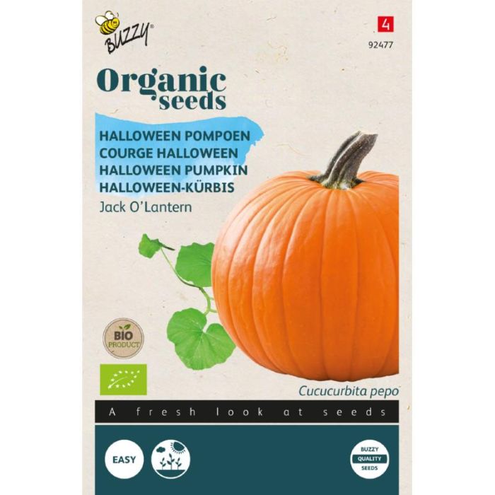Buzzy® Organic Pompoen Jack O'Lantern zaden(BIO)