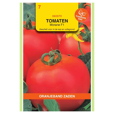 Oranjeband zaden Tomaten Morane F1