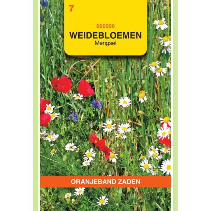 OBZ Weidebloemen mengsel - 5 m²