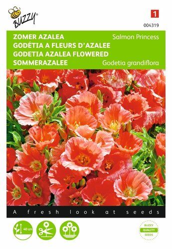 Buzzy® Godetia, Zomer Azalea Salmon Princess
