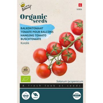 Buzzy® Organic Balkontomaat Koralik (BIO)