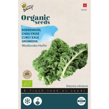 Buzzy® Organic Boerenkool Westlandse Herfst (BIO)