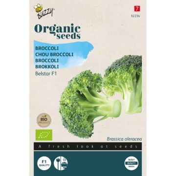buzzy broccoli belstar f1 zaden