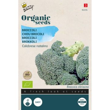 Buzzy® Organic Broccoli Calabrese natalino (BIO)