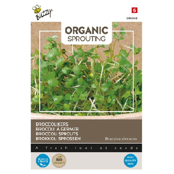 Buzzy® Organic Sprouting Broccolikers