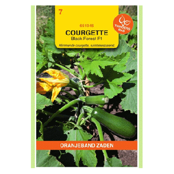 Oranjeband zaden Courgette Klimmend Black Forest F1