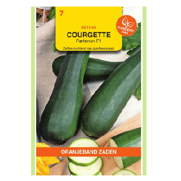 Oranjeband zaden Courgette Partenon F1