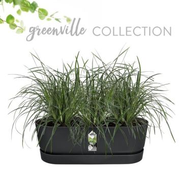 Elho greenville easy balcony collectie