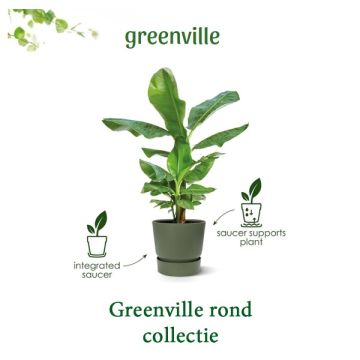Elho greenville bloempot rond collectie