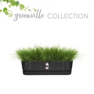 Elho greenville trough long 50cm