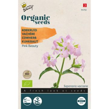 Buzzy® Organic Saponaria, Koekruid Pink Beauty (BIO)