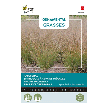 Buzzy® Ornamental Grasses, Parelgras