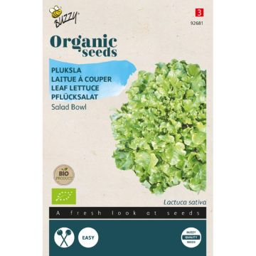 Buzzy® Organic Pluksla Salad Bowl, groen (BIO) 