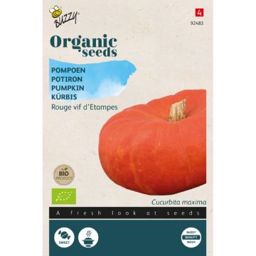 Buzzy® Organic Pompoen Rode van Etampes (BIO)