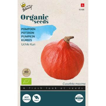 Buzzy® Organic Pompoen Uchiki Kuri (BIO)