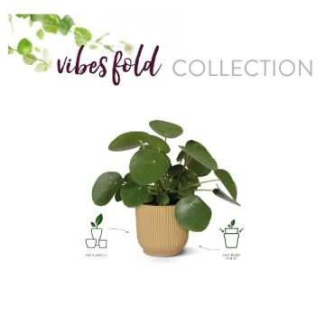Elho vibes fold rond bloempot collectie