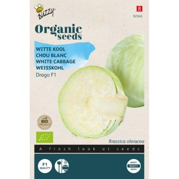 Buzzy® Organic Witte Kool zaden Drago F1 (BIO)