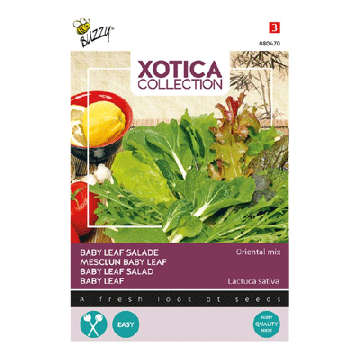 Buzzy® Xotica Salade Baby Leaf Oriental Mix
