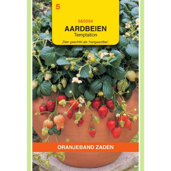 Oranjeband Hangaardbeien Temptation