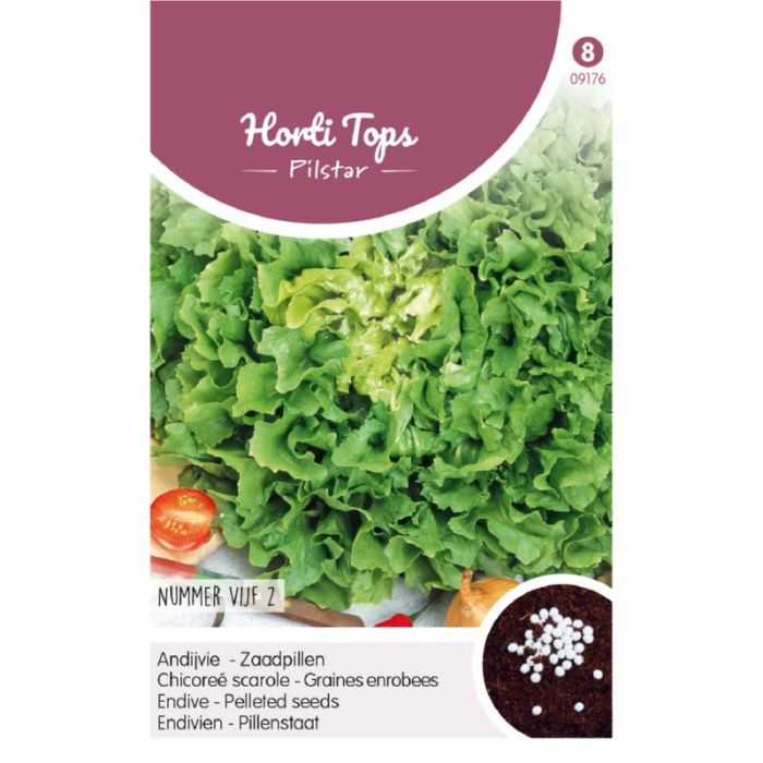 Horti tops pilstar - Andijvie nummer Vijf 2