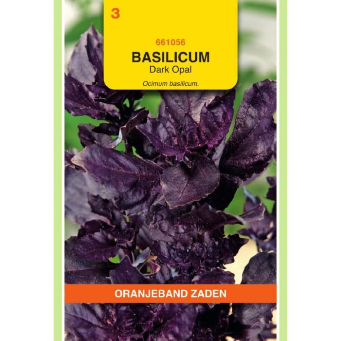 Oranjeband Basilicum Dark Opal